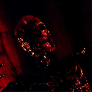 Wes Craven�s Wishmaster